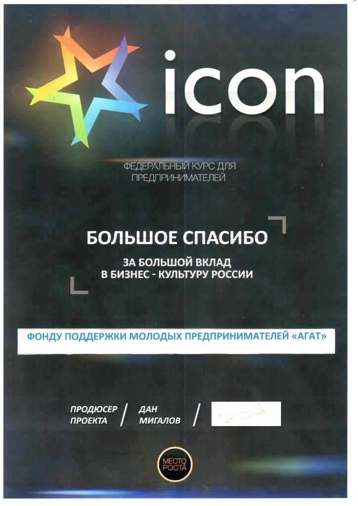 Федеральный курс для предпринимателей iCon